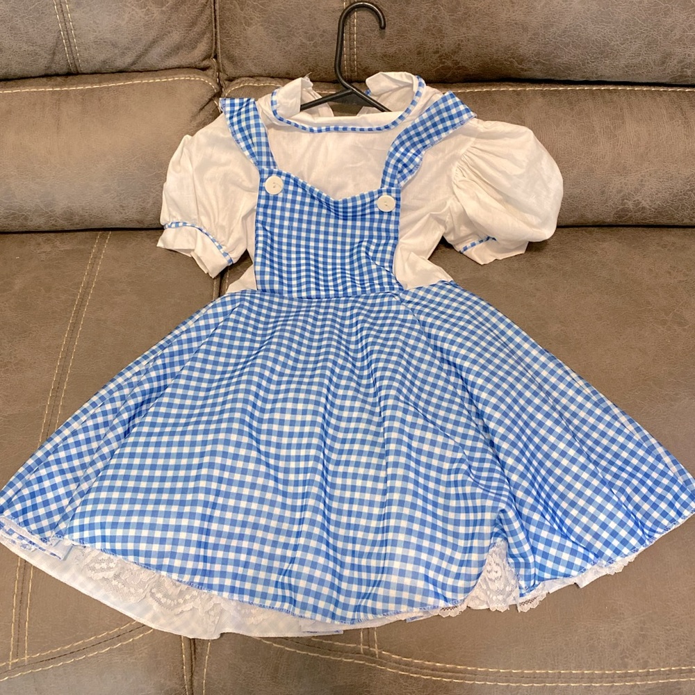 Dorthy Costume Dress Size Medium. Worn once. Very good quality & condition